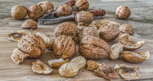 Yeşilli'de doğal kaynakların korunması için projeler