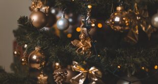 Yeşilli'de yerel festivallerle kültürel zenginlik artırılıyor